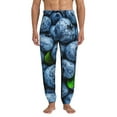 thumbnail image 1 of Kdxio Fresh Blueberries Pattern Joggers,Sweatpants for Men with Pockets-XX-Large, 1 of 5