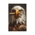 thumbnail image 1 of Kdxio Funny Bald Eagle Decorator Light Switch or Receptacle Outlet Wall Plate Decorator Wall Plate Child Safe Outlet Cover-Style V, 1 of 6