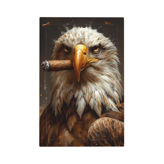 Kdxio Funny Bald Eagle Decorator Light Switch or Receptacle Outlet Wall Plate Decorator Wall Plate Child Safe Outlet Cover-Style V