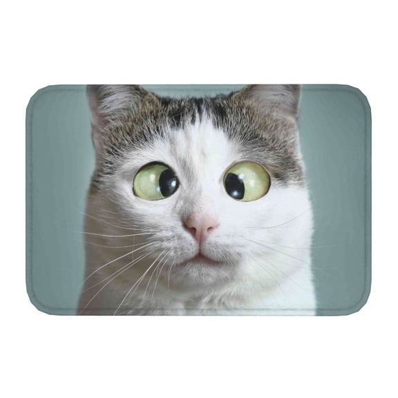 Kdxio Funny Cat,16" x 24", Non-Slip Front Door Mats,Outdoor Welcome Mat Washable