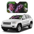 thumbnail image 1 of Kdxio Grape Print Windshield Sun Shade, Foldable Sun Blocker for Car,Truck,SUV Automotive Interior Sun Protection,Reflective Shade for Front Windshield(Small), 1 of 7