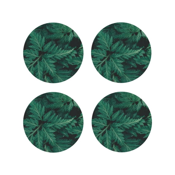 Kdxio Green Leave Fern Funny Coasters,4 Pcs Leather Coasters,Housewarming Gifts,Protect Furniture from Water Marks Scratch and Damage