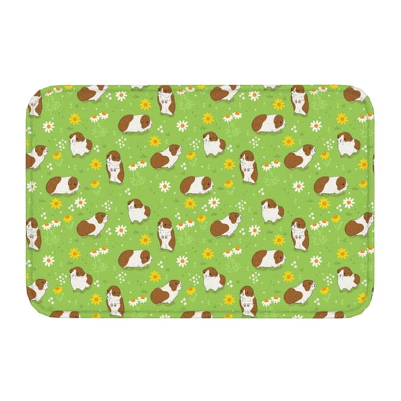 Kdxio Guinea Pigs,16" x 24", Non-Slip Front Door Mats,Outdoor Welcome Mat Washable