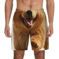 thumbnail image 1 of Kdxio Happy Fluffy Running Dog Print Men's Swim Trunks with Compression Liner 7 Inch Inseam Quick Dry Swim Shorts, 1 of 5