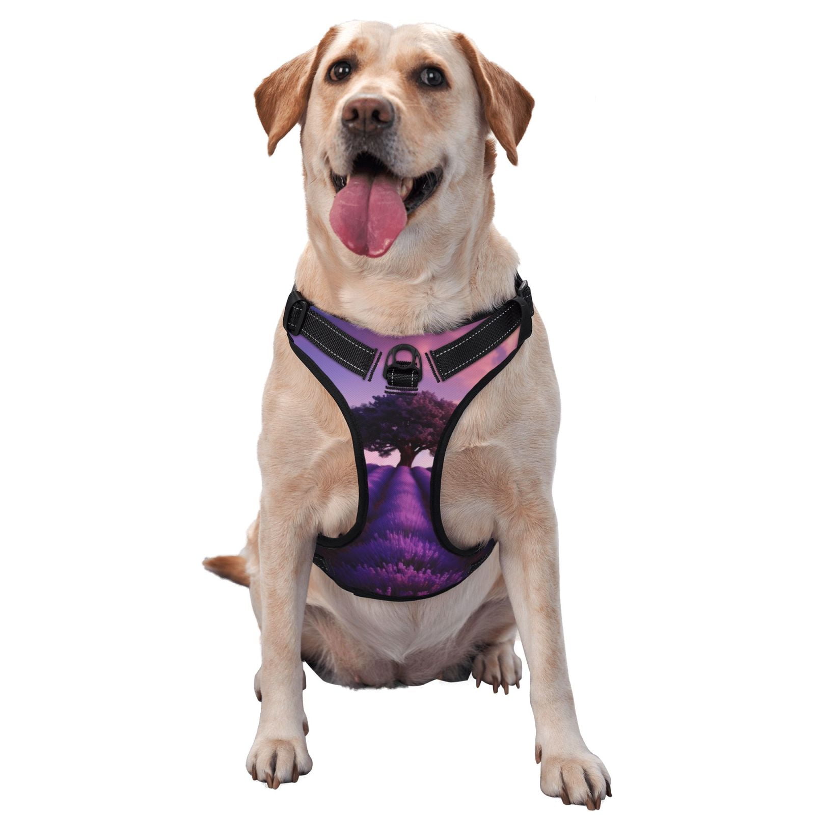 Kdxio Lavender Field Sunset Print No Pull Dog Harness Adjustable Reflective Oxford Easy Control Medium Large Dog Harness for Training and Everyday-X-Large