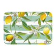 thumbnail image 1 of Kdxio Lemon,16" x 24", Non-Slip Front Door Mats,Outdoor Welcome Mat Washable, 1 of 9