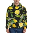 thumbnail image 1 of Kdxio Lemon Fruits Flowers Leaves Print Mens Casual Hooded Collar Drawstring Hoodies Pullover Sweatshirts Casual Long Sleeve Shirts-4X-Large, 1 of 7