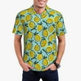 thumbnail image 1 of Kdxio Lemon Print Men's Short Sleeve Polo Shirt,Midweight Men's Shirt, 1 of 6