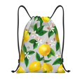 thumbnail image 1 of Kdxio Lemon1 Print Drawstring Backpack Bag,Waterproof Draw String Back Sack, Gym Drawstring Bags Swim Bag For Unisex, 1 of 9