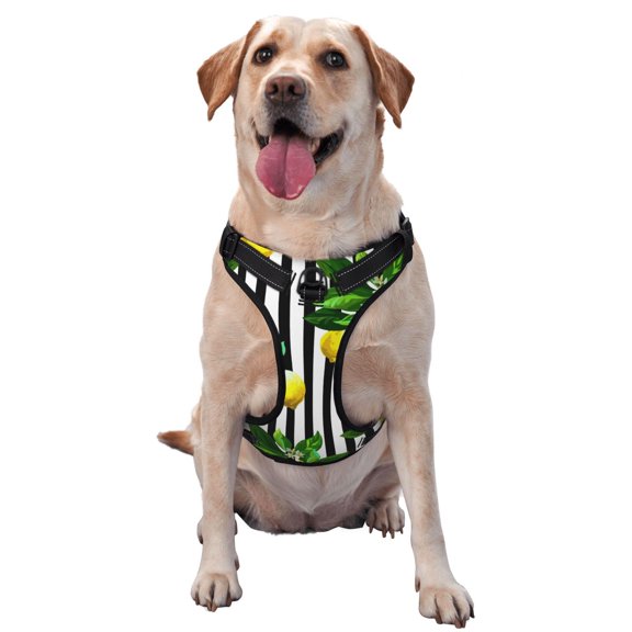 Kdxio Lemons on Striped Print No Pull Dog Harness Adjustable Reflective Oxford Easy Control Medium Large Dog Harness for Training and Everyday-X-Large