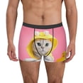 thumbnail image 1 of Kdxio Men's Boxer Briefs with A Funny Cat Print - Comfortable and Breathable Underwear for Everyday Wear, 1 of 7