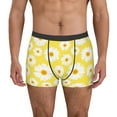 thumbnail image 1 of Kdxio Men's Boxer Briefs with Daisies Flowers Print - Comfortable and Breathable Underwear for Everyday Wear, 1 of 7