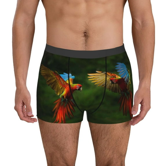 Kdxio Men's Boxer Briefs with Hybrid Parrot in the Forest Print - Comfortable and Breathable Underwear for Everyday Wear