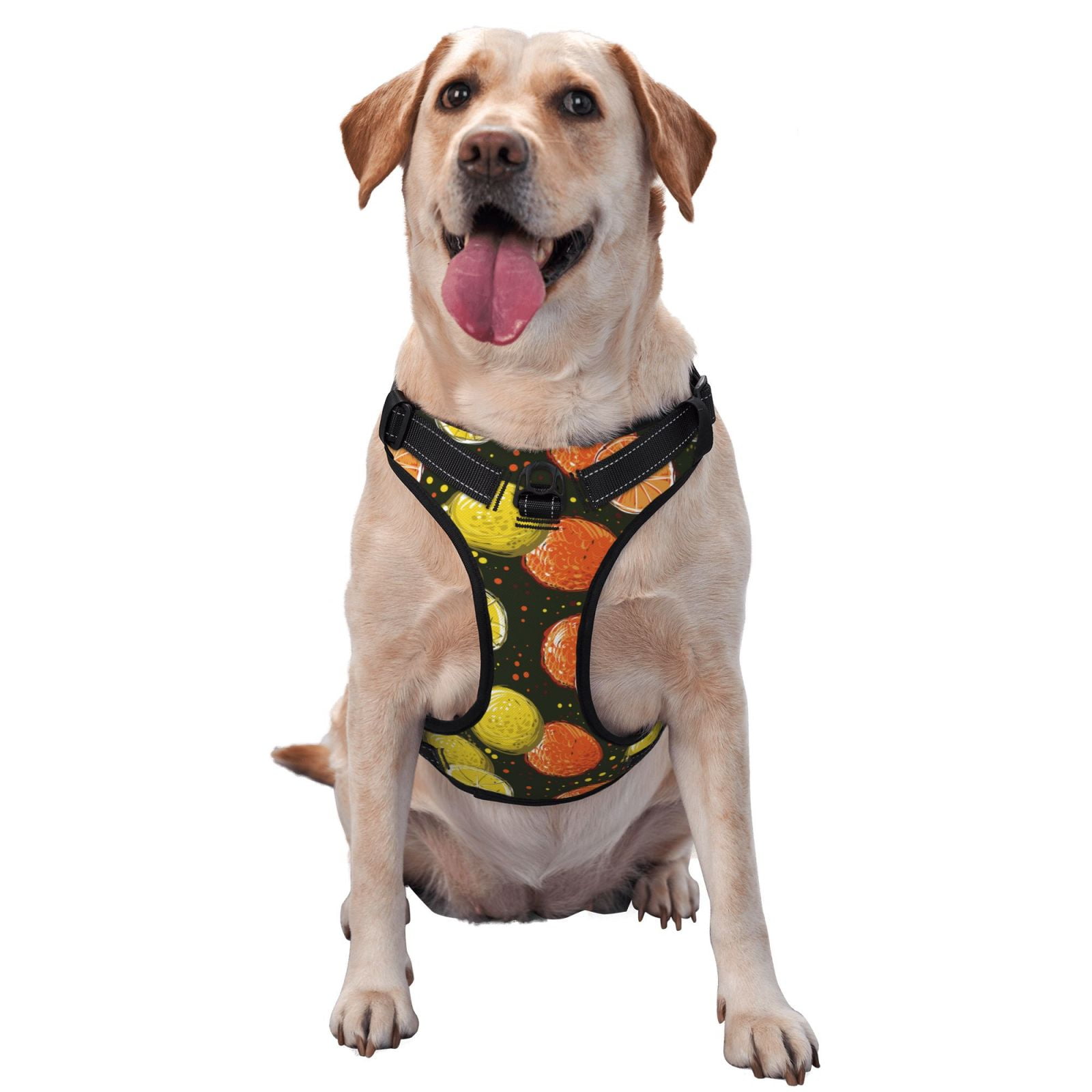 Kdxio Orange Lemon Print No Pull Dog Harness Adjustable Reflective Oxford Easy Control Medium Large Dog Harness for Training and Everyday-Medium