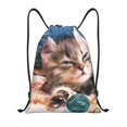 thumbnail image 1 of Kdxio Playful Cat Print Drawstring Backpack Bag,Waterproof Draw String Back Sack, Gym Drawstring Bags Swim Bag For Unisex, 1 of 9
