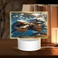 thumbnail image 1 of Kdxio Playful Dolphins Underwater Rectangular Acrylic Night Light Acrylic Sleep Night Light Friend Gifts for Birthday Gifts for Women Teens Boys Girls, 1 of 9