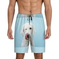thumbnail image 1 of Kdxio Puppy Licks Nose Print Mens Sleep Shorts Bottoms Soft Comfy Pajama Wear Pants with Drawstring Pockets, 1 of 7