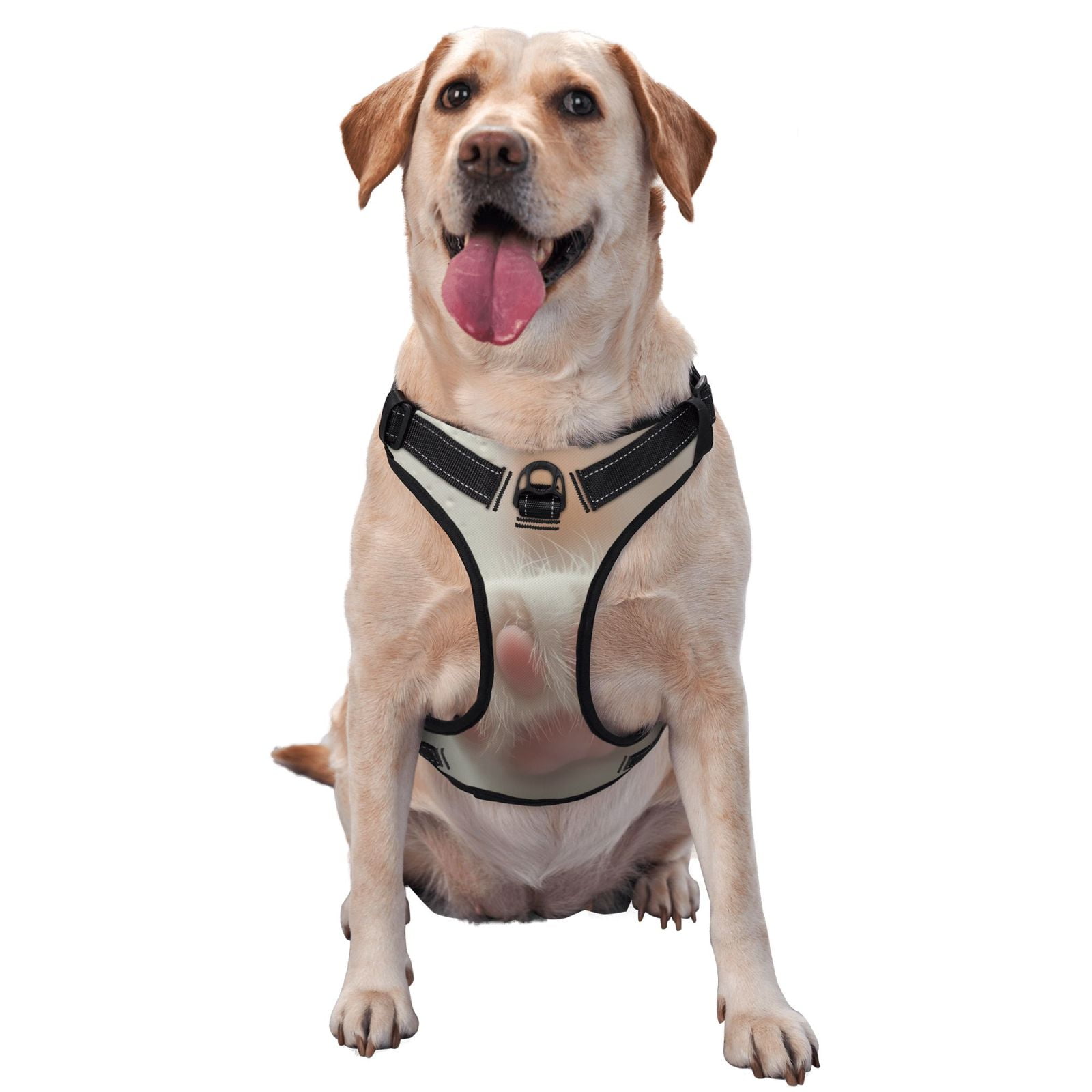 Kdxio Raindrop Kitten Paw Print No Pull Dog Harness Adjustable Reflective Oxford Easy Control Medium Large Dog Harness for Training and Everyday-Large
