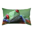 thumbnail image 1 of Kdxio Red-Eyed Tree Frog-1 Pattern Pillowcase with Envelope Closure,20" x 36" Pillow Cases,Gifts for Men or Women-No pillow, 1 of 5