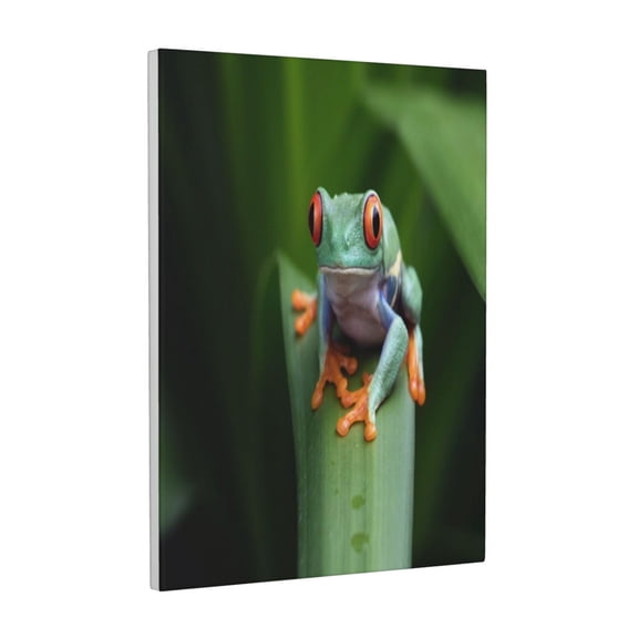 Kdxio Red-Eyed Tree Frog Pattern Canvas Wall Art 12x16 Inches - Waterproof HD Print Solid Wood Frame for Living Room & Bathroom,Vertical