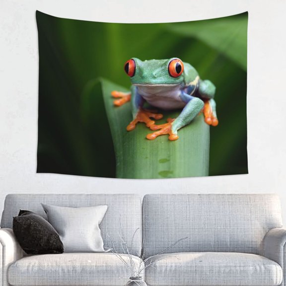 Kdxio Red-Eyed Tree Frog Wall Hanging Tapestries Banner For Bedroom College Dorm Home Living Room Party Decor 29X37 In