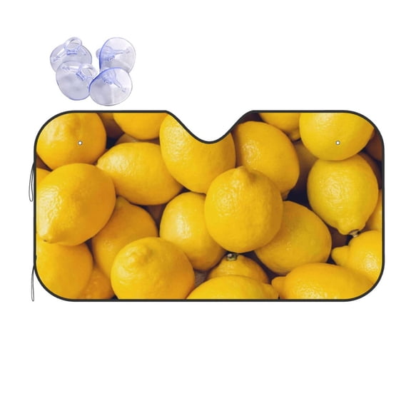 Kdxio Ripe Yellow Lemon Print Front Windshield Sun Shade,Folding Auto Sunshade for Car Truck SUV-Small