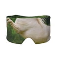thumbnail image 1 of Kdxio Scarfs for Women Lightweight Print Horse Rearing Up In The Field Pattern Scarf Shawl Fashion Scarves Sunscreen Shawls, 1 of 7