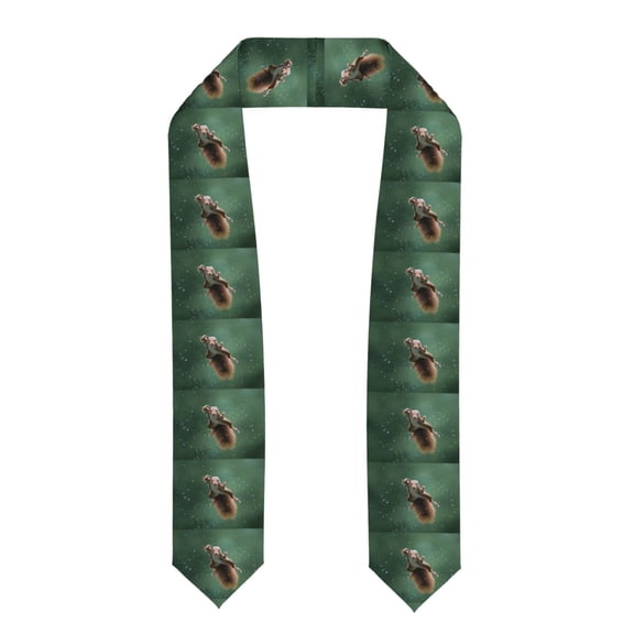 Kdxio Squirrel Graduation Stole Class, Graduation Sash, Unisex Adult 36" Academic Commencements-Flattened