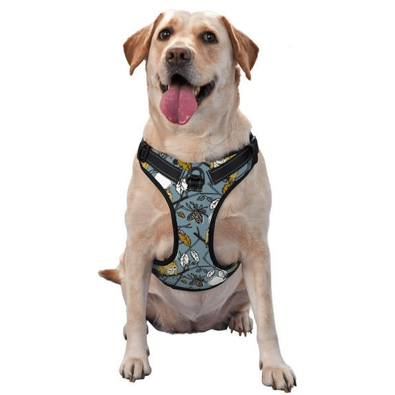 Kdxio Squirrel And Leaves Print No Pull Dog Harness Adjustable Reflective Oxford Easy Control Medium Large Dog Harness for Training and Everyday-Medium