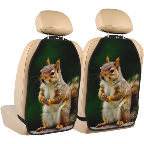 Kdxio Squirrels Eating Peanuts On The Tree Print 2 Pack Car Kick Mat Seat Cover Back Protector Mat with Pockets for Organizer Backseat Protector and Storage Anti Kick Pad for Vehicles