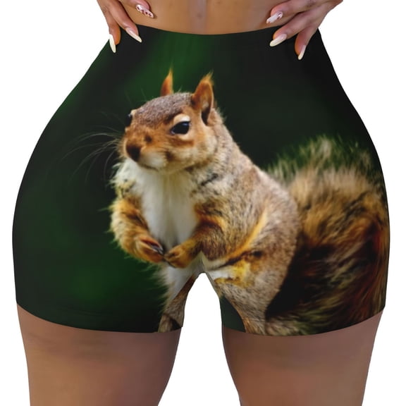 Kdxio Squirrels Eating Peanuts On The Tree Print Workout Shorts for Women Seamless Soft Smooth Gym Yoga Scrunch Active Shorts