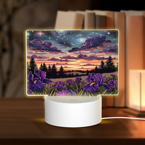 Kdxio Starry Night Purple Irises Rectangular Acrylic Night Light Acrylic Sleep Night Light Friend Gifts for Birthday Gifts for Women Teens Boys Girls