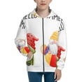 thumbnail image 1 of Kdxio Summer Gnome Pattern Kids Boys Girls Zip Up Hoodie 3D Printed Hooded Sweatshirt Hoody Coat with Pocket 7-12 Y-Small, 1 of 6