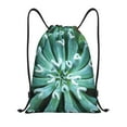 thumbnail image 1 of Kdxio Teal Cactus Print Drawstring Backpack Bag,Waterproof Draw String Back Sack, Gym Drawstring Bags Swim Bag For Unisex, 1 of 5