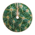 thumbnail image 1 of Kdxio Thorns Of Macro Cactus Print Christmas Tree Skirt Christmas Xmas Tree Skirts Mat for New Year Holiday Christmas Party Decorations-30", 1 of 7
