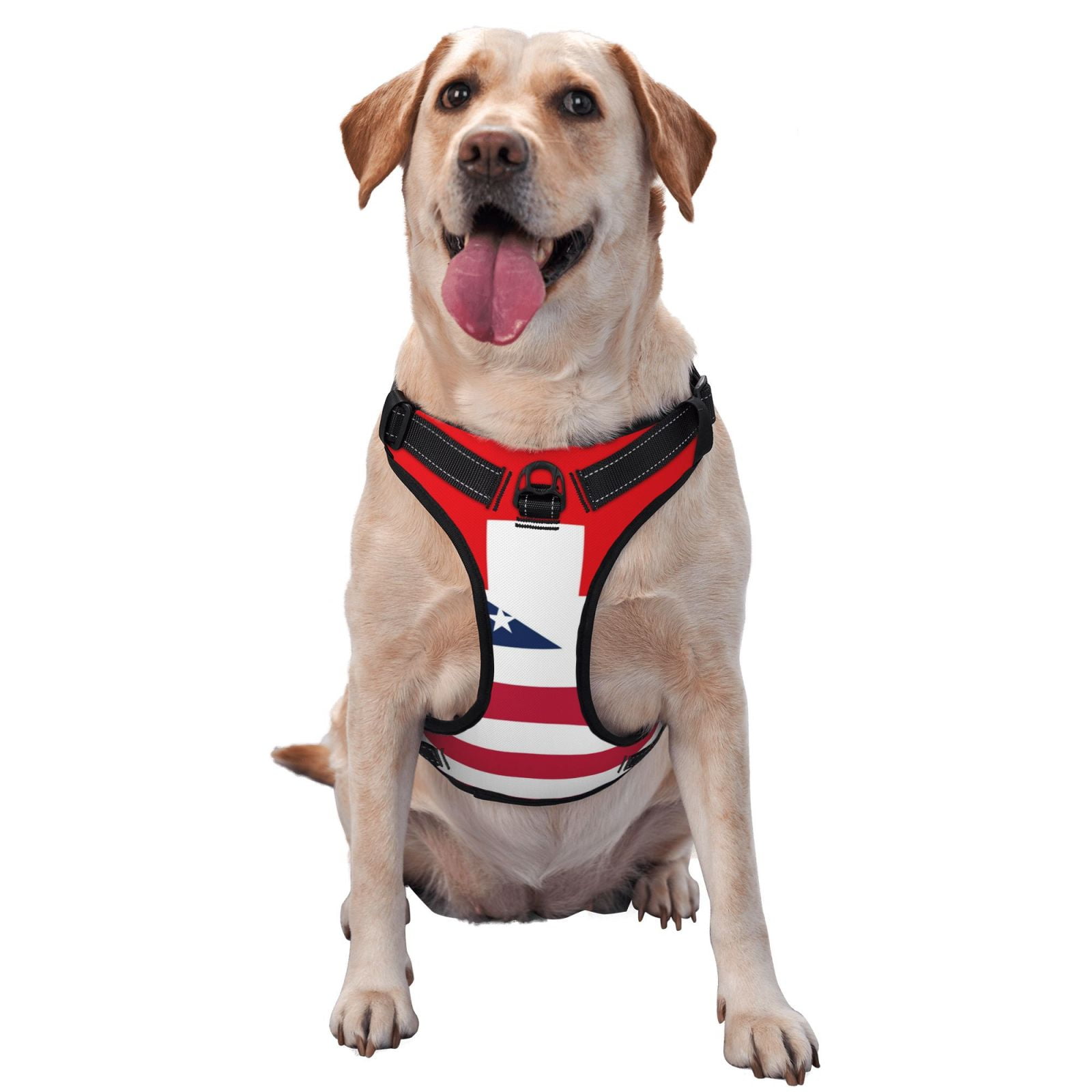 Kdxio USA Switzerland Print No Pull Dog Harness Adjustable Reflective Oxford Easy Control Medium Large Dog Harness for Training and Everyday-Medium