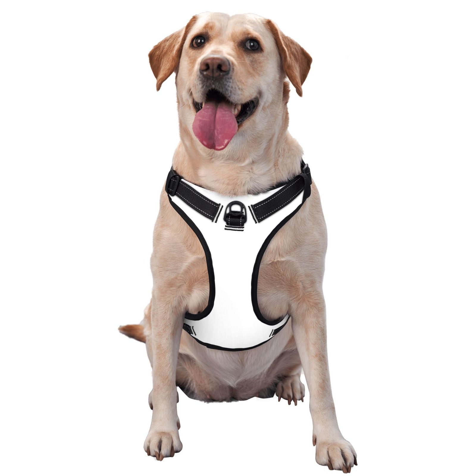 Kdxio Vegetable Print No Pull Dog Harness Adjustable Reflective Oxford Easy Control Medium Large Dog Harness for Training and Everyday-Large