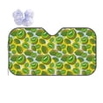 thumbnail image 1 of Kdxio Watercolor Kiwi Fruits Summer Print Front Windshield Sun Shade,Folding Auto Sunshade for Car Truck SUV-Medium, 1 of 7