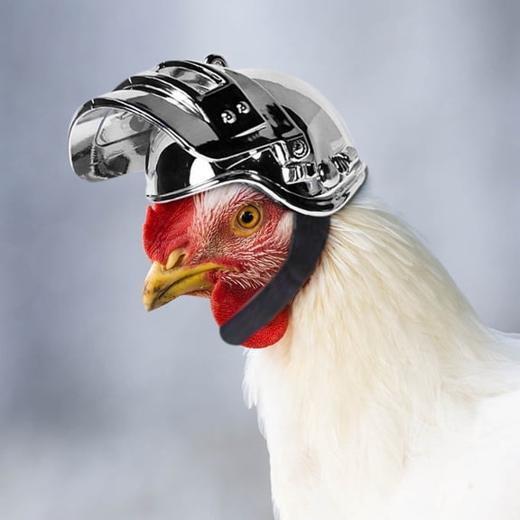 Ke1Clo Chicken Helmet, 1.8x1.8 Inch Adjustable Pet Head Cover, Bird Hat with Elastic Bands, Funny Hen Hat Costume for Chicken Poultry Party, Dazzling black