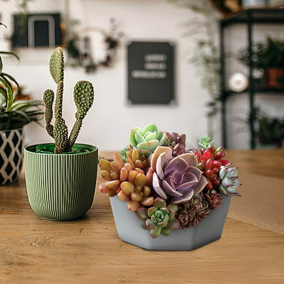 Ke1Clo Resin Planter Pot for Succulents, Small Flower Pot for Indoor Plants, Balcony Garden Decor, Imitation Ceramic Plant Container with Drainage
