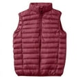 thumbnail image 1 of KeShDi Puffer Vest Purple Vest Men's Clothing Solid Color Basic Stand Collar Sleeveless Top Sleeveless Clothing Wine M, 1 of 7