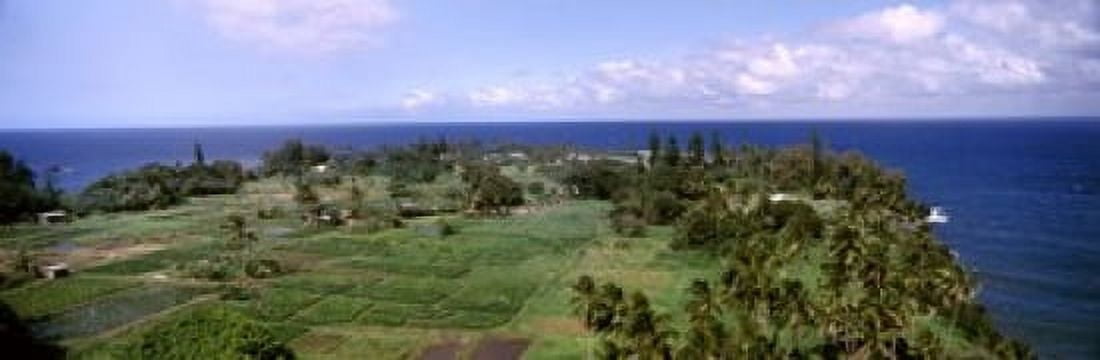Keanae Peninsula Hana Maui Hawaii USA Canvas Art - Panoramic Images (18 x 6)