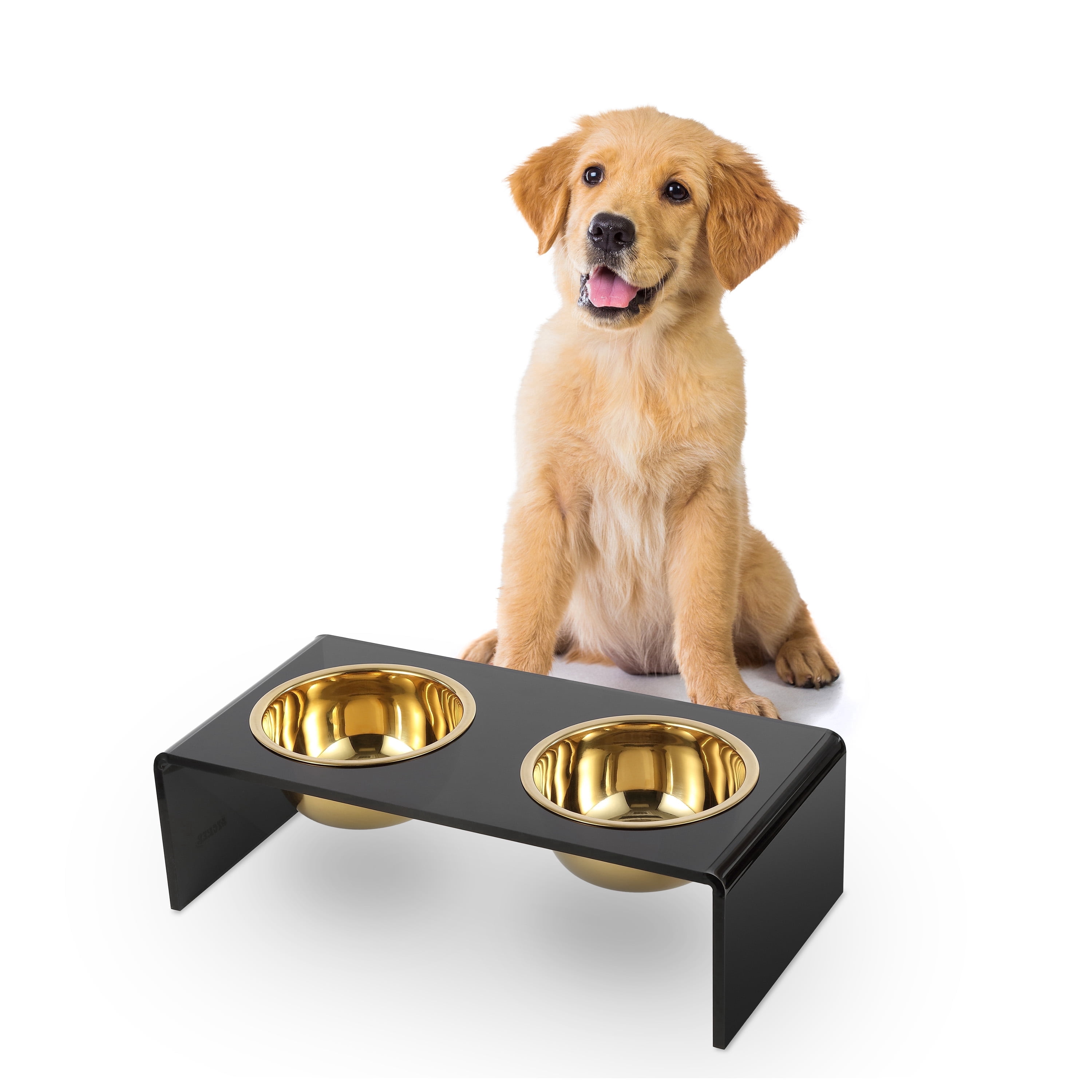 THE LICKER STORE Keaton 5" Small/Medium Modern Acrylic Rectangular Elevated Pet Feeder with 20oz 2-Stainless Steel Bowls, Black/Gold, DBL2000B