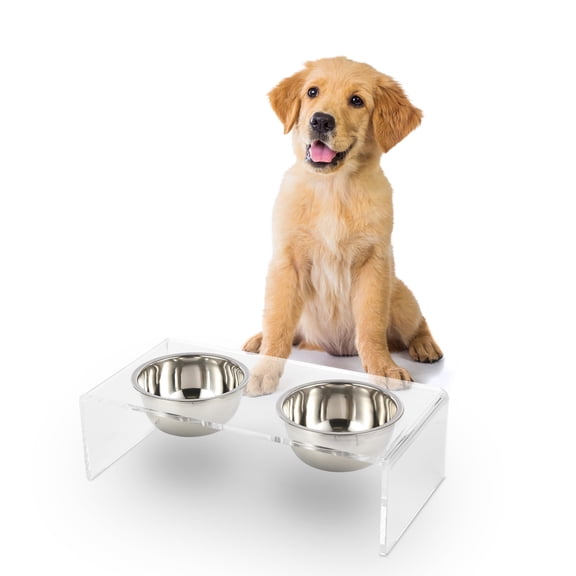 THE LICKER STORE Keaton 5" Small/Medium Modern Acrylic Rectangular Elevated Pet Feeder with 20oz 2-Stainless Steel Bowls, Clear/Chrome, DBL2000A