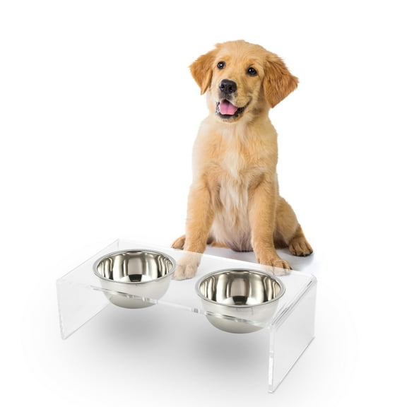THE LICKER STORE Keaton 5" Small/Medium Modern Acrylic Rectangular Elevated Pet Feeder with 20oz 2-Stainless Steel Bowls, Clear/Chrome, DBL2000A