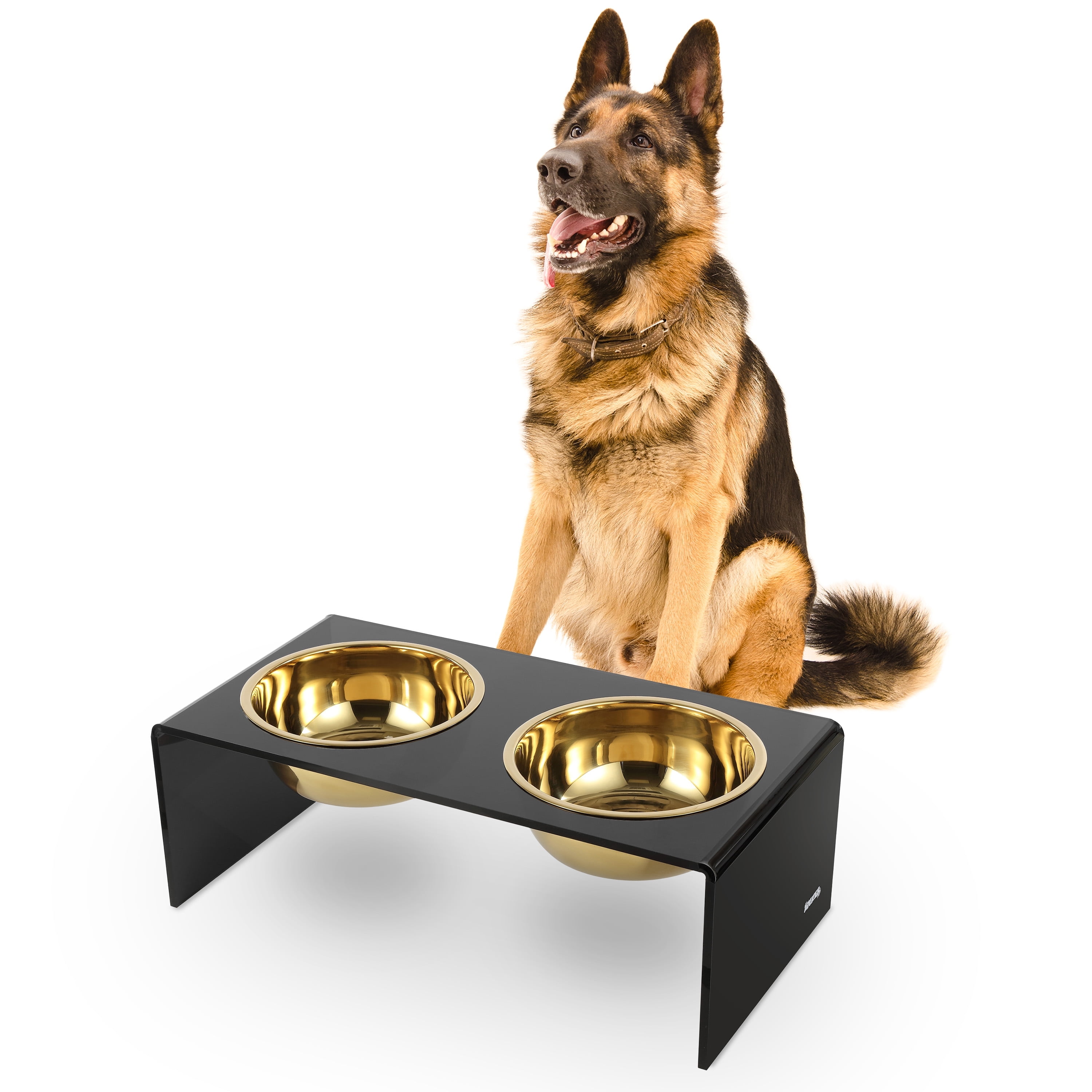 Keaton 7.5" Black and Gold Modern Elevated Pet Feeder with Stainless Steel Bowls