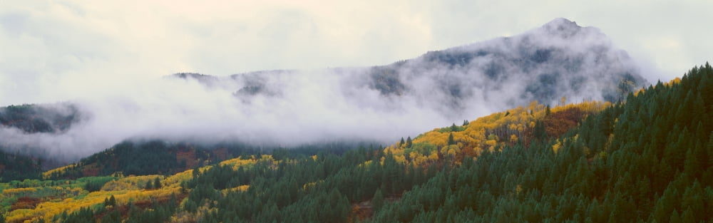 Kebler Pass Gunnison National Forest Colorado Canvas Art - Panoramic Images (36 x 12)