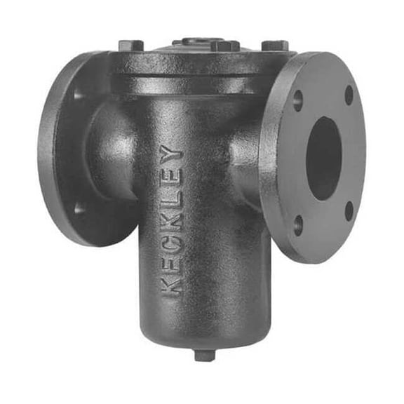 Keckley Basket Strainer, 4" Pipe, Flanged, Cast iron 41FFS-CI125P34-FBI-GFV