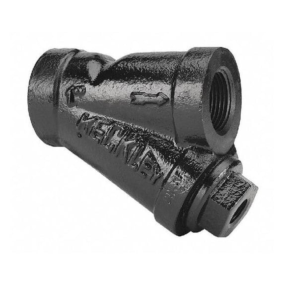 Keckley Y Strainer, 2-1/2" Pipe, Threaded, Cast iron 21/23THY-CI062P34-FTI-B7
