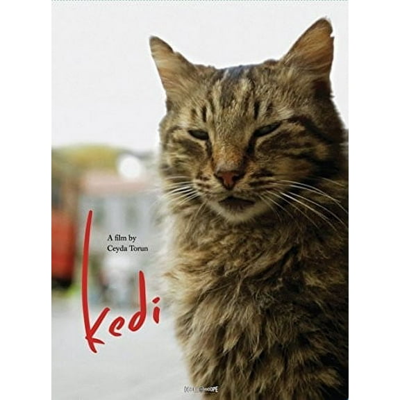 Kedi (DVD), Oscilloscope, Documentary